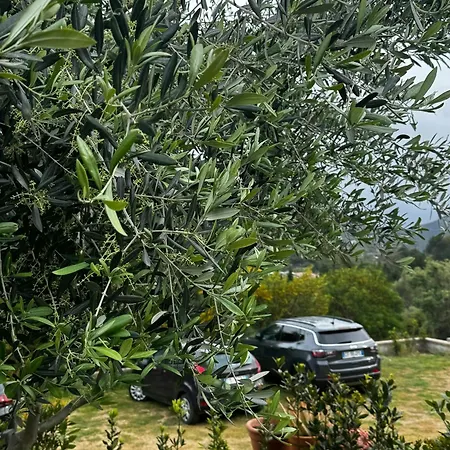 Semesterbostad Renovated Sheepfold Between Sea And Mountains *