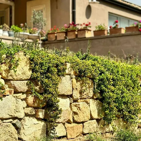 Renovated Sheepfold Between Sea And Mountains Соланас