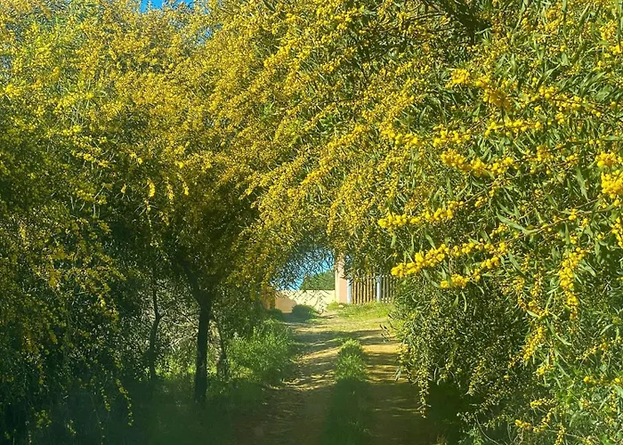 Nyaraló Renovated Sheepfold Between Sea And Mountains