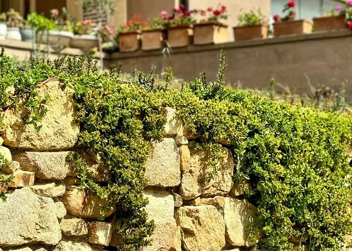 Renovated Sheepfold Between Sea And Mountains Соланас
