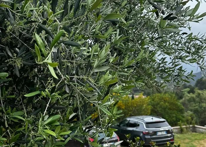 Дом отдыха Renovated Sheepfold Between Sea And Mountains